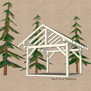 Timber frame shed