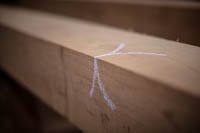 timber with text reading office of special projects